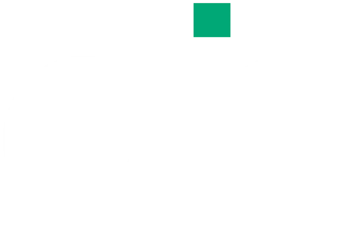 the digital ally logo